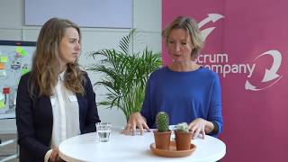 Wat houdt de Agile Coach Opleiding van Scrum Company in?