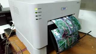 DNP Photo Printer Speed and Quality || DNP Thermal photo printer speed | DNP printer