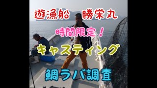 瀬戸内 高松沖【遊漁船 勝栄丸】 約2時間のキャスティング＋鯛ラバ調査