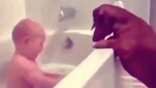 Funny Cute babies and dogs compilation laughing 2015