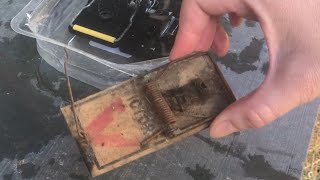 why “REUSE” mouse traps (2 reasons)