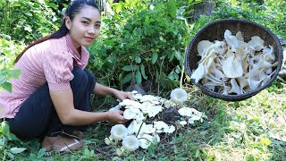 Fresh mushroom in my homeland - Healthy food