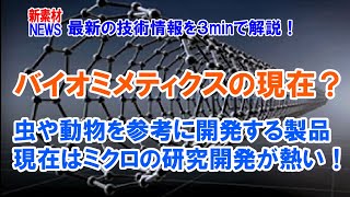 生物から形状や機能を学ぼう！バイオミメティクスの話題です