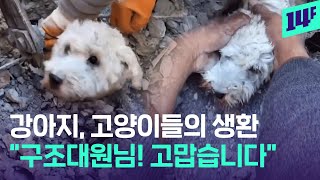 말 대신 눈빛으로 말한다! 극적으로 구조된 개와 고양이 / 14F