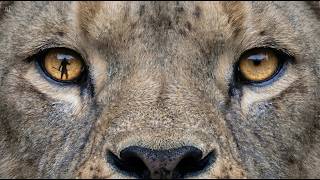 The Creature That Almost Ended the Human Bloodline Forever