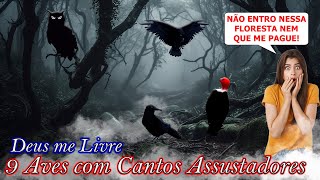 9 AVES COM CANTOS MUITO ASSUSTADORES