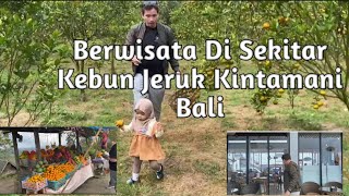 Kebun Jeruk Kintamani Bali#Wisata