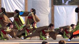 常陸國大子連／ファイナル進出演舞／メイン会場／第12回 常陸国YOSAKOI祭り（2015）