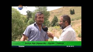 Teberik - Ali Şeker - DERSİM/PÜLÜMÜR - DEWA ŞENYAĞU (AGAŞENLİK KÖYÜ) 28.06.2015