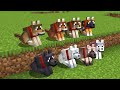 So 8 New Dogs Were Just Added Into Minecraft