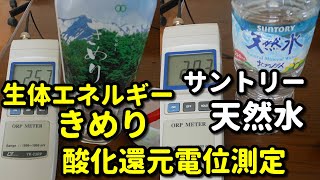 生体エネルギー【きめり】酸化還元電位測定