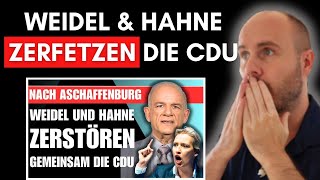 Reaktion: NACH ASCHAFFENBURG 🚨 ALICE WEIDEL und PETER HAHNE ZERFETZEN die CDU