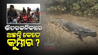 Census Begins To Count Crocodile At Bhitarkanika National Park