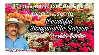 Home Garden tour|| Vinod Kodungallur ll Auto Garden || Bougainvill care || Bougainvilla garden.