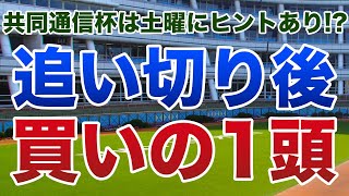 共同通信杯2020 は土曜にヒントあり！？ 【追い切り後／買いの1頭】公開！