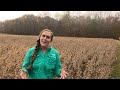 NC State Extension's Soybean On Farm Trial Program