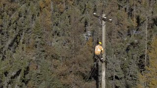 Dauphin River Restoration Efforts