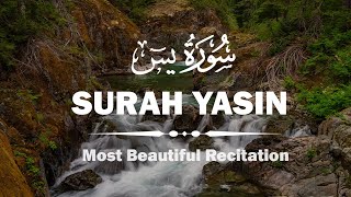 Most beautiful recitation of Surah Yasin (Yaseen) سورة يس ⋮ IQRA AL QURAN DAILY ⋮ Ep#01