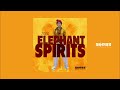 ZIDDO - Elephant Spirits (Original Mix)