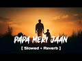 Papa Meri Jaan (Slowed + Reverb) | Ranbir Kapoor | Anil K, Rashmika M | Sonu Nigam | Animal | Lofi
