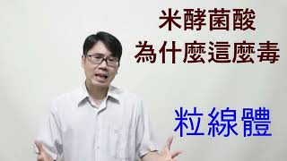 邦克列酸 米酵菌酸為什麼這麼毒 這麼可怕 到底是毒害人體的哪裡 科普 02 食物中毒 致死 椰酵菌酸 椰黍菌酸 唐菖蒲伯克氏菌 能量 細胞 胞器 #金頭腦 #新聞龍捲風 #科普作家#潘彥宏 #生物老師