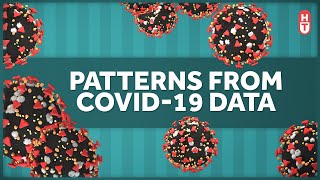 Patterns from a Year of Covid Data