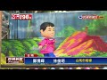 2018九合一－台南市長民調 黃偉哲大幅領先 「虧雞」衝第3－民視新聞