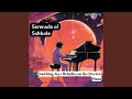 Soulful Piano in Cozy Dining Establishments