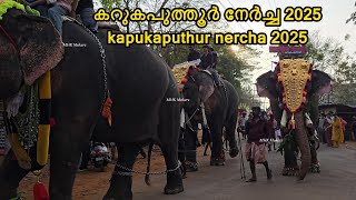 karukaputhur nercha fest 2025 കറുകപുത്തൂർ നേർച്ച ഫെസ്റ്റ് | #festival #trending #nercha #2025 #vibes