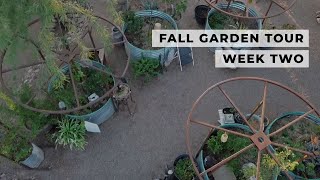 Need a Break from Election Day News? Stroll Through the Fall Garden | Relaxing No Talking | Ep. 9