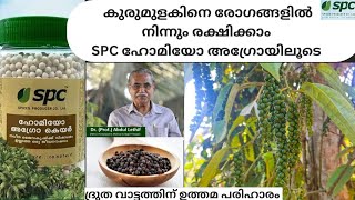 കുരുമുളകിനെ 🍀🍀🍀രോഗങ്ങളിൽ നിന്നും രക്ഷിക്കാം SPC ഹോമിയോ അഗ്രോയിലൂടെ#agriculture  #farming