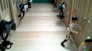 Schleich serie :Rivalen [1]