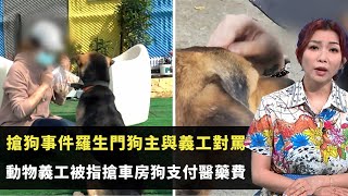 東張西望｜搶狗事件羅生門狗主與義工對罵 ｜動物義工被指搶車房狗支付醫藥費｜義工反駁狗主照顧不周狗隻瘦｜朱凱婷 黃耀英