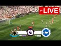 Newcastle vs Brighton LIVE | Premier League 2024 | Match LIVE Today!