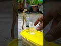 Amazing Mini Tubewell | #creativefest #science_project #shorts #youtubeshorts