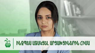 Ինչպես աջակցել արցախցիներին հիմա | Արար 02