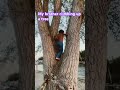 my brother trying to climb up a tree 👦🏽👦🏽👦🏽👦🏽👦🏽￼