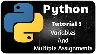 Python Programming Tutorial 3 - Variables and multiple assignments