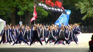 溝沼連合町内会 朝霞溝連（2014よさこい祭りin光が丘公園）