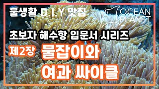 초보자 해수항 입문서 제2장 - 물잡이와 여과 싸이클