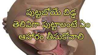 తెలివైన బిడ్డ పుట్టాలంటే ఇలా చేయండి | Best Tips for intelligent baby