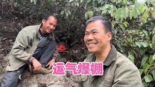 阿金进深山找蜂蜜，付出与收获成正比，夜幕降临才跑出大山