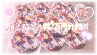 【すとぷり】3月の回収品【作業動画】