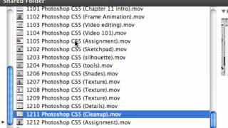 1201 Photoshop CS5 (Chapter 12 Intro).mov