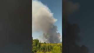 В Новомосковском районе горит лес