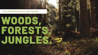 The Differences Between Forests, Woods \u0026 Jungles