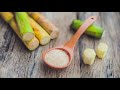 harvesting u0026 eating jamaican sugarcane 5 benefits of sugarcane juice