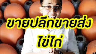 EP30 ขายปลีกและขายส่งไข่ไก่ทำไงดี?