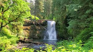 Silver Falls(2)