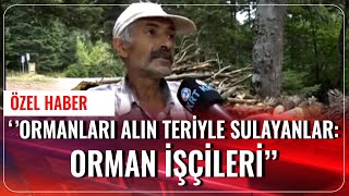 Ormanı Alın Teriyle Sulayanlar: Orman İşçileri | Özel Haber | Günaydın | 04.09.2020